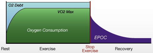 VO2 max EPOC oxygène exercice repos