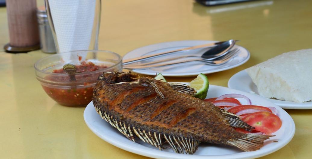 tilapia,poissons que vous ne devriez jamais manger, des options de fruits de mer plus sûres