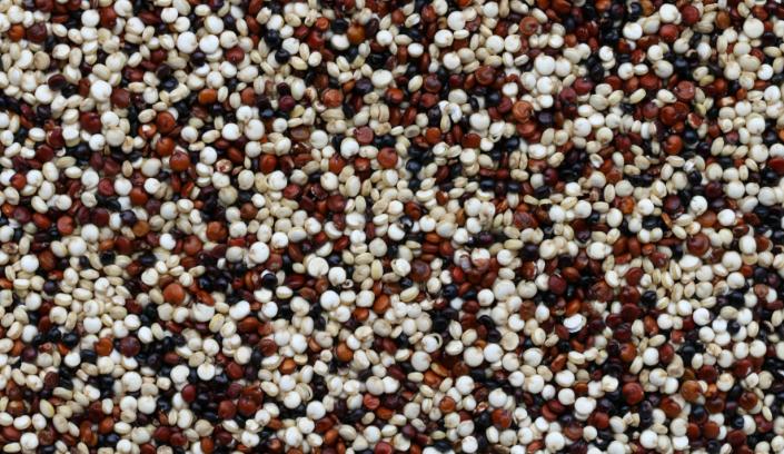quinoa aliments riches en fibres
