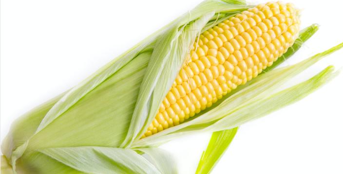 Le maïs est-il sain ? Faits surprenants sur sa nutrition, avantages et ses effets secondaires